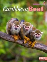November/December 2021 Issue 167