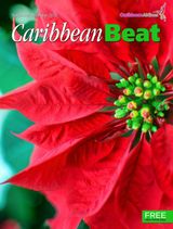 November/December 2022 Issue 173