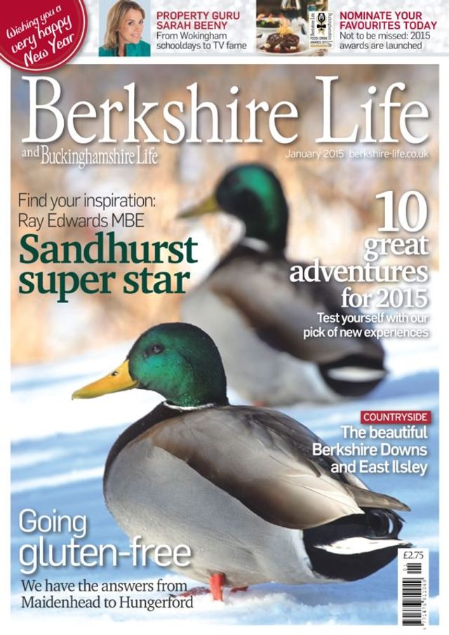 Berkshire Life