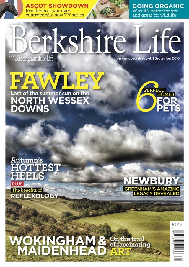 Berkshire Life
