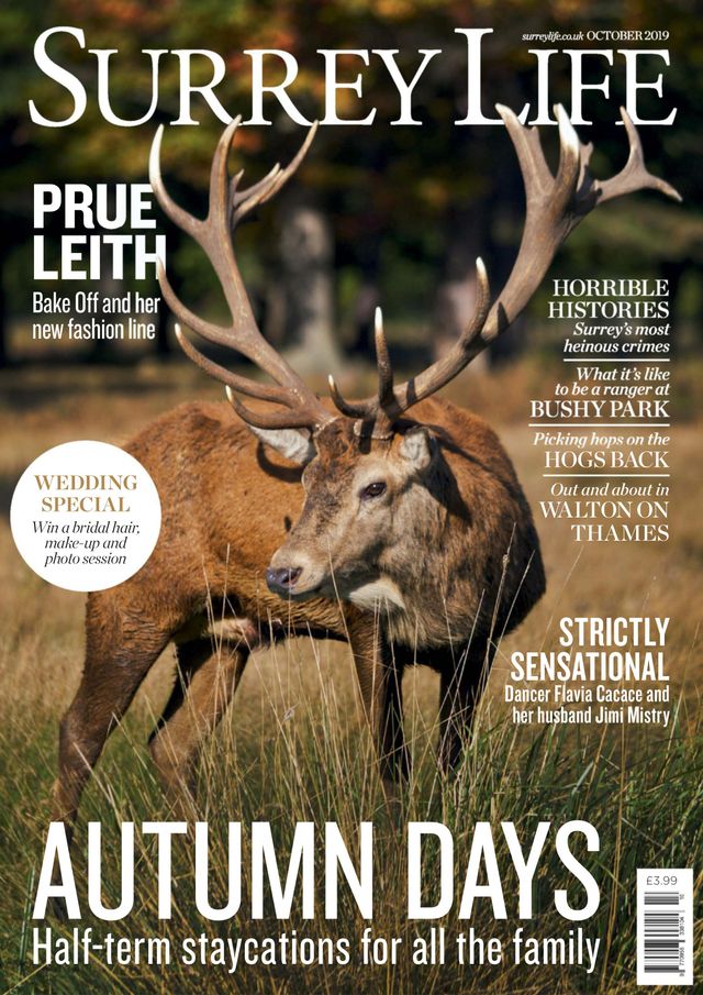 Surrey Life
