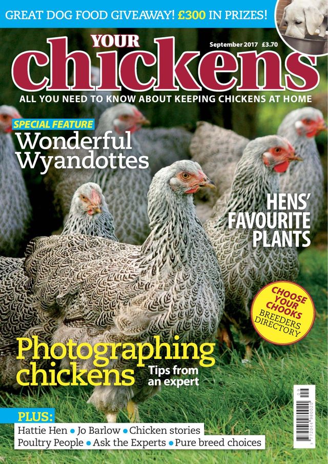 Your Chickens