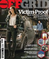 Issue 33