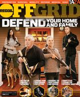 Issue 42