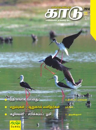 KAADU Magazine - May-June 2019 KAADU Magazine Cover - May-June 2019 Edition