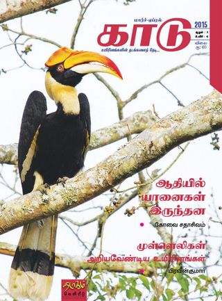 KAADU - May-June 2019 KAADU Cover - May-June 2019 Edition