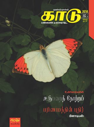 KAADU - May-June 2019 KAADU Cover - May-June 2019 Edition