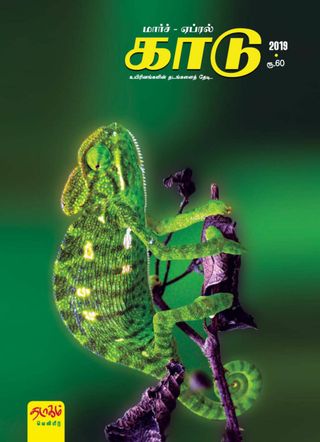 KAADU - May-June 2019 KAADU Cover - May-June 2019 Edition