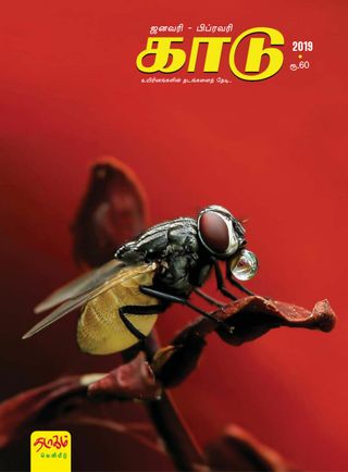 KAADU - May-June 2019 KAADU Cover - May-June 2019 Edition