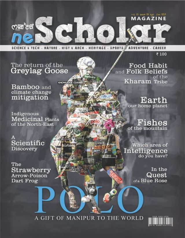 neScholar