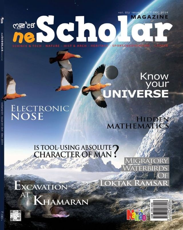 neScholar