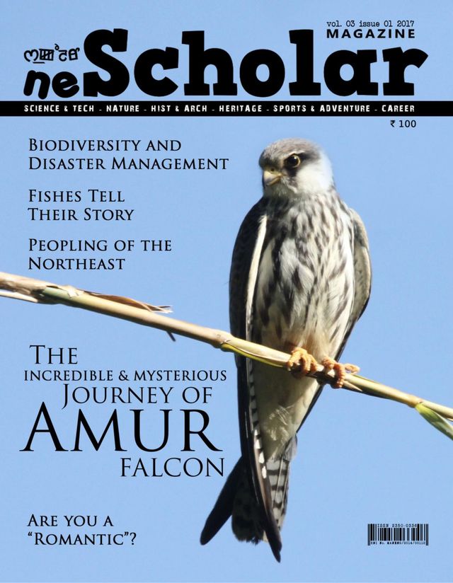 neScholar