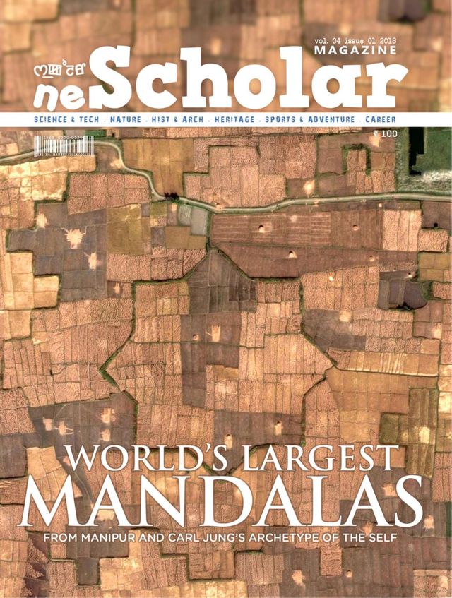 neScholar