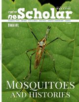 Volume 4, Issue 2 2018