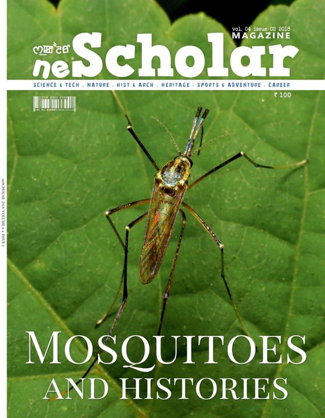 neScholar