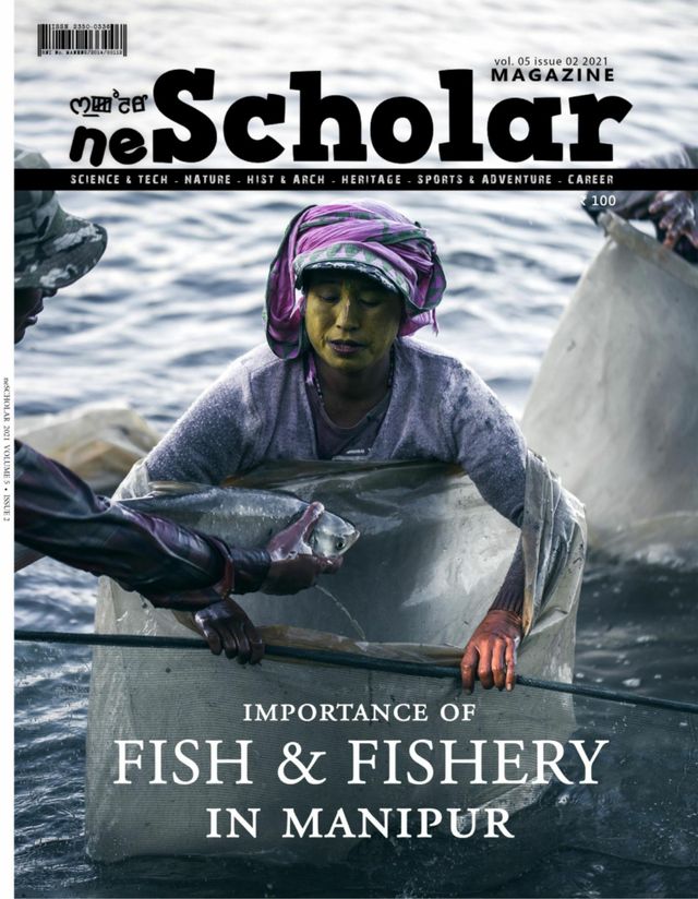 neScholar
