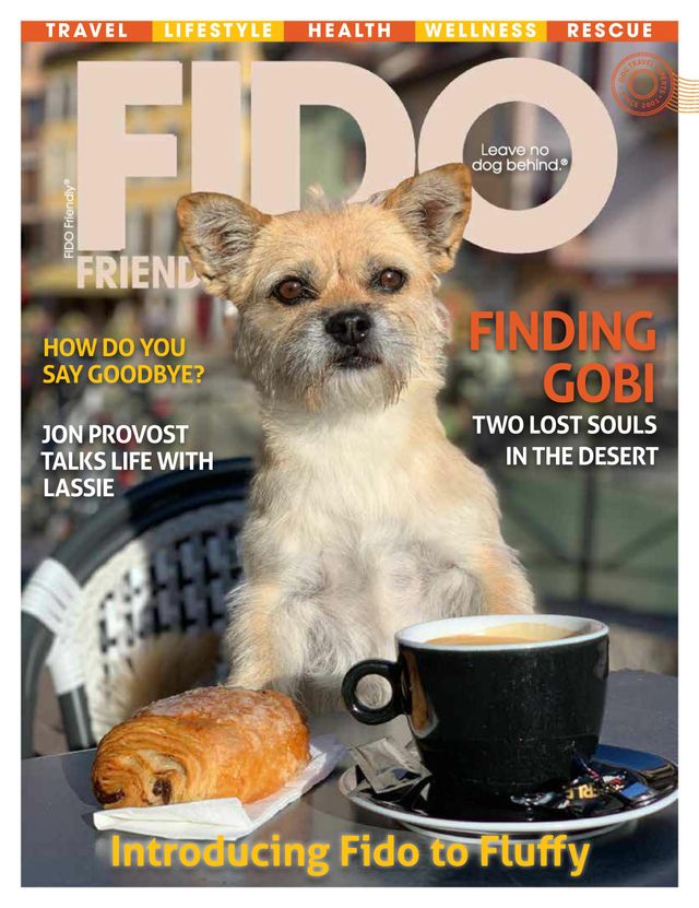 FIDO Friendly