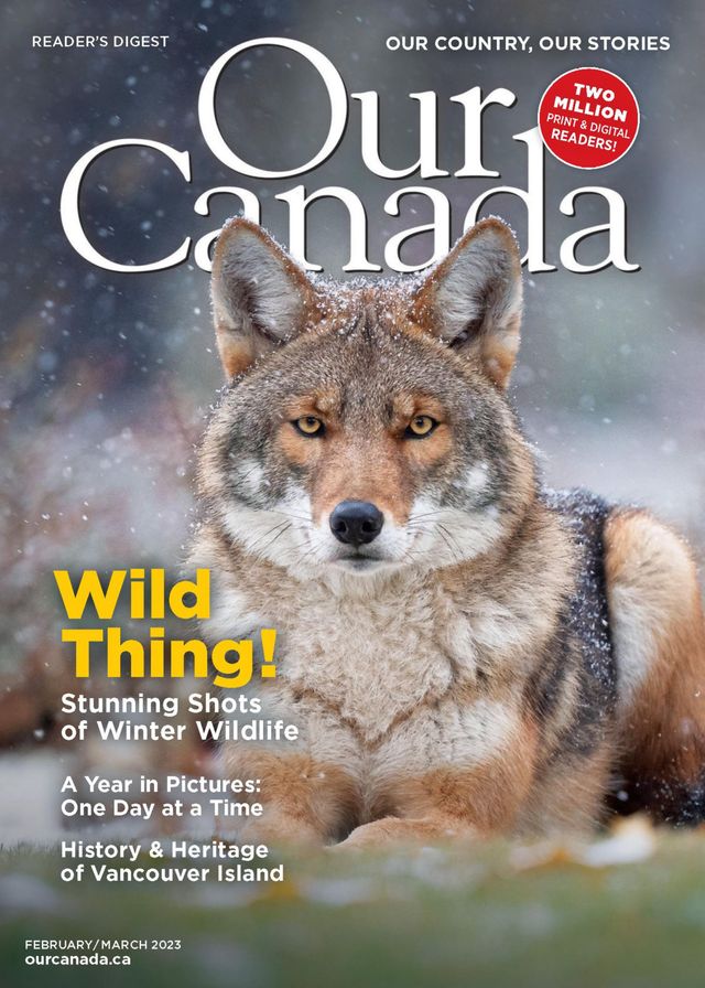 Gå ubegrenset med Magzter GOLD