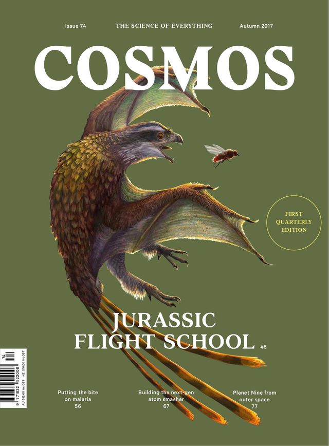 Cosmos