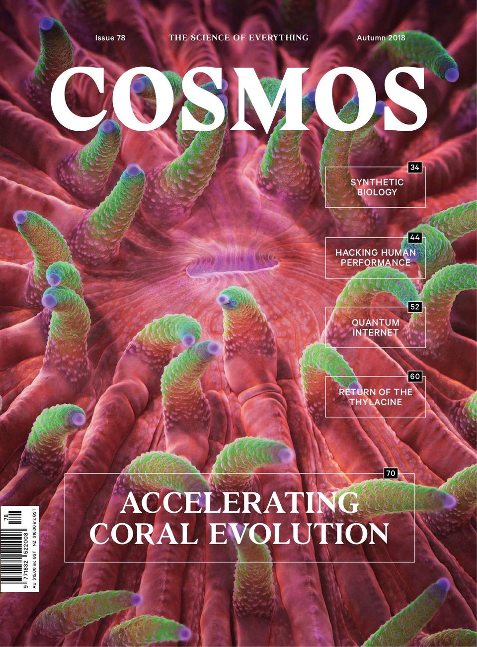 Cosmos Autumn 2018