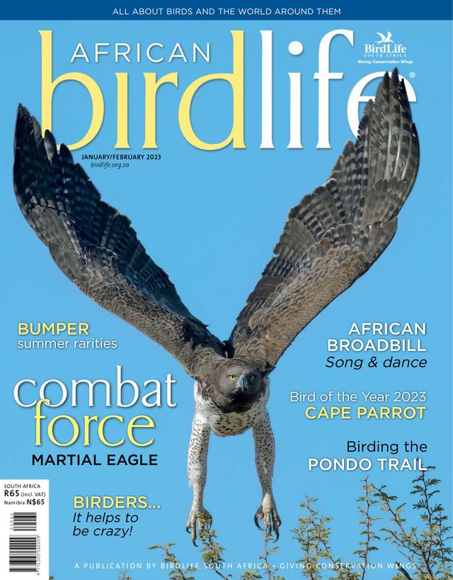 African Birdlife