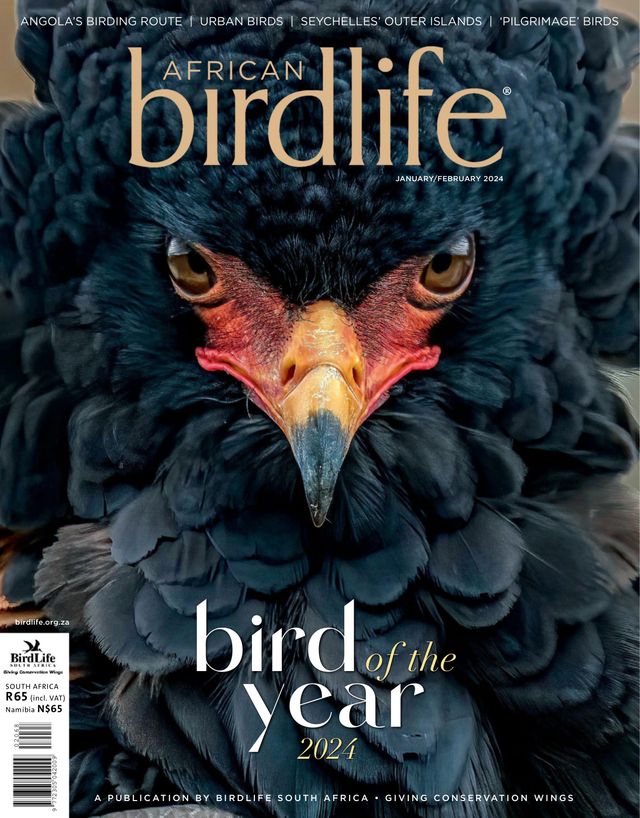 African Birdlife