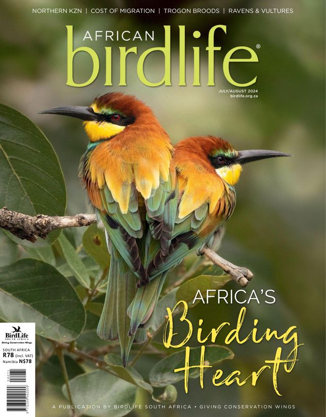African Birdlife