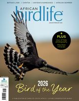 African Birdlife