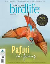 African Birdlife