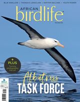 African Birdlife