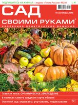 Октябрь 2015