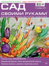 Ноябрь 2015