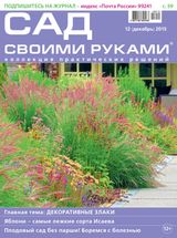 Декабрь 2015