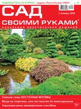 Январь 2016