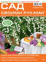 Февраль, 2016