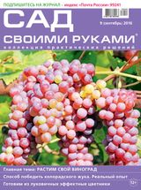 Сентябрь, №09-2016