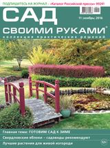 Ноябрь, №11-2016