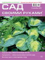 Декабрь, №12-2016