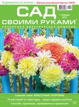 Январь, №01-2017