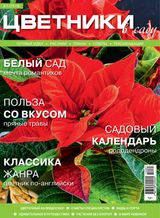 Январь 2016