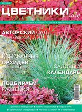 Февраль, 2016