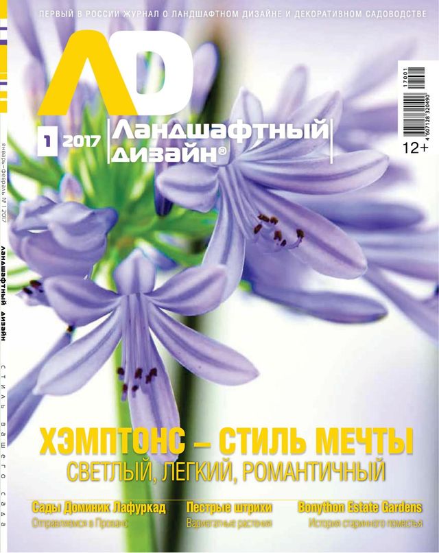 Ландшафтный дизайн