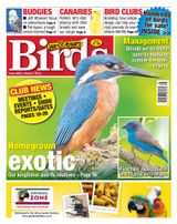 March 2,2016
