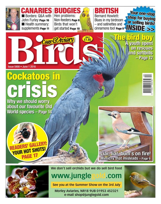 Cage & Aviary Birds