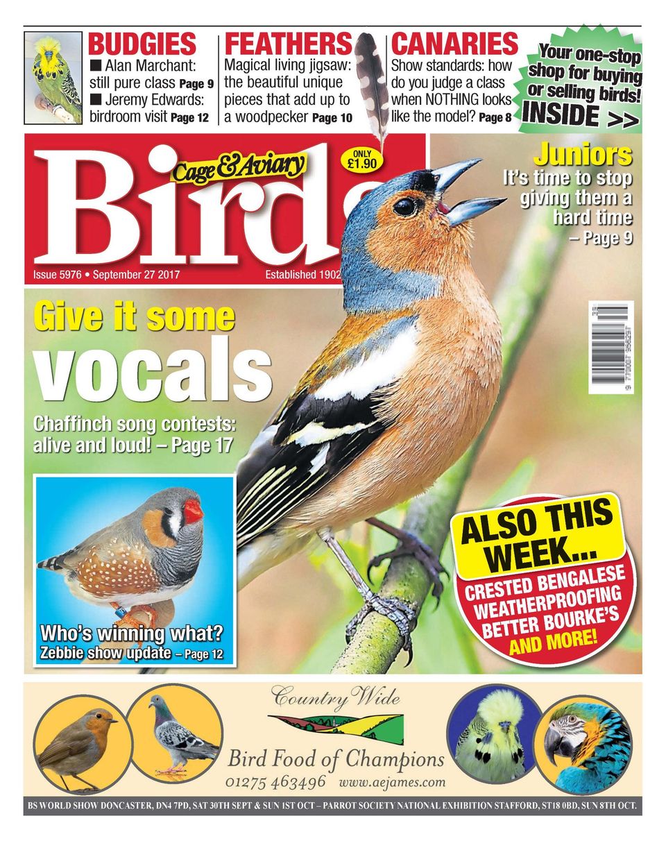 countrywide parrot food
