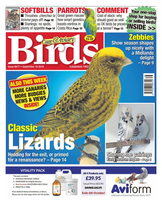 Gå ubegrenset med Magzter GOLD