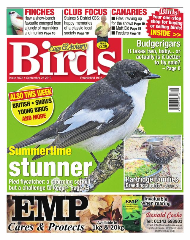 Gå ubegrenset med Magzter GOLD