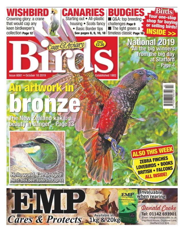 Gå ubegrenset med Magzter GOLD