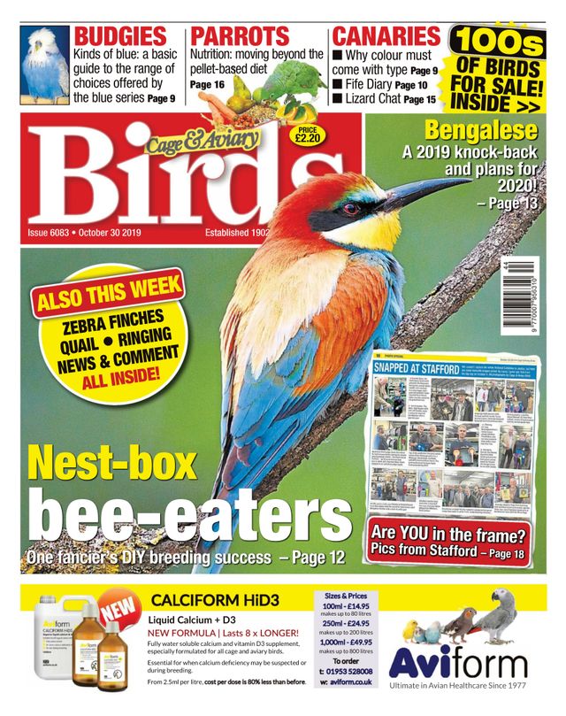 Gå ubegrenset med Magzter GOLD