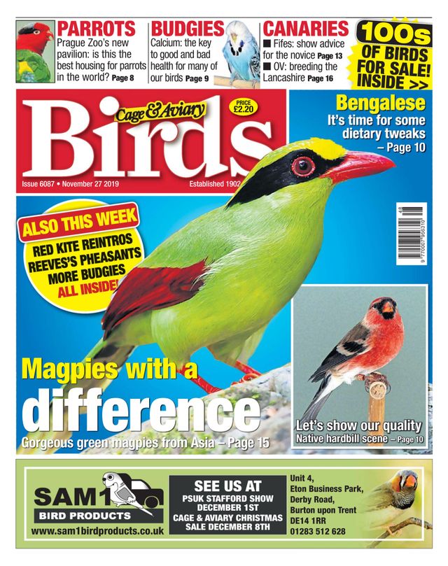 Cage & Aviary Birds